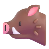 Wild Boar