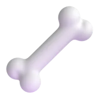 Bones