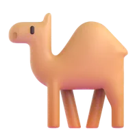 Camel