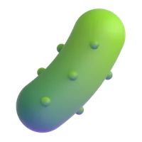 Cucumber