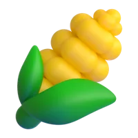 Corn