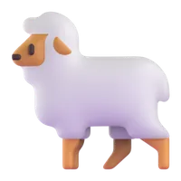 Sheep
