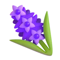 Hyacinth