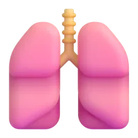 Lungs