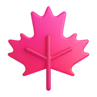 Maple tree