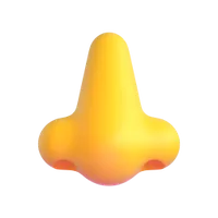nose