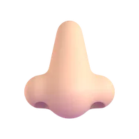 Nose