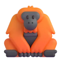 Orangutan