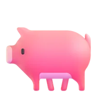 Pig