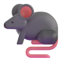 Rat