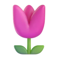 Tulip