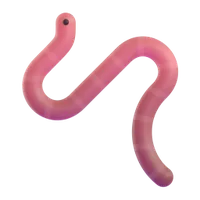Earthworm